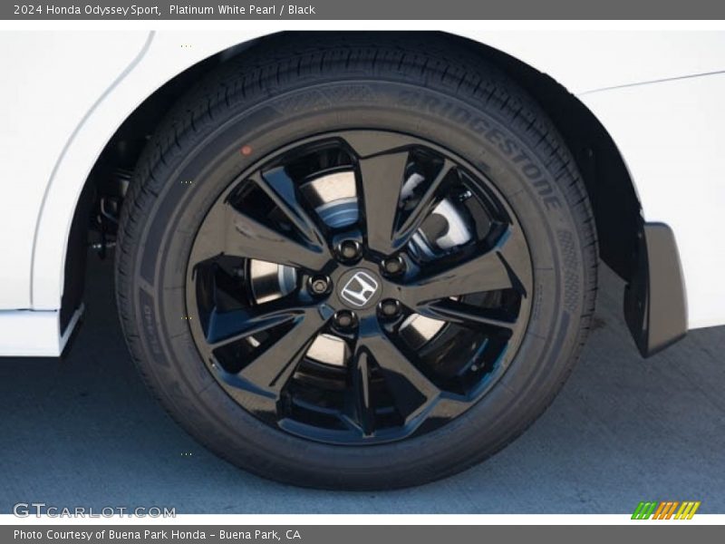  2024 Odyssey Sport Wheel