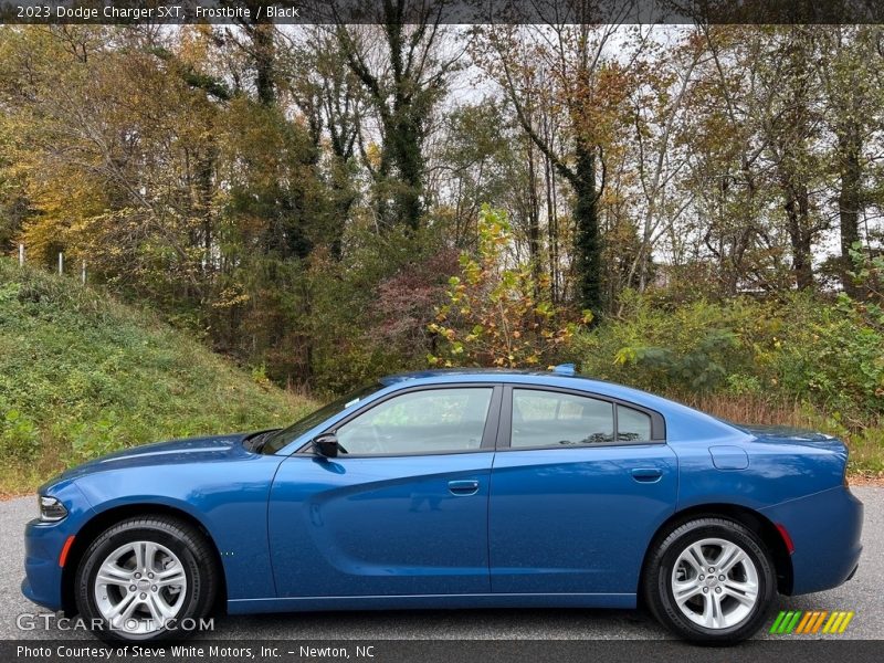  2023 Charger SXT Frostbite