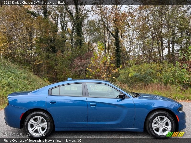  2023 Charger SXT Frostbite