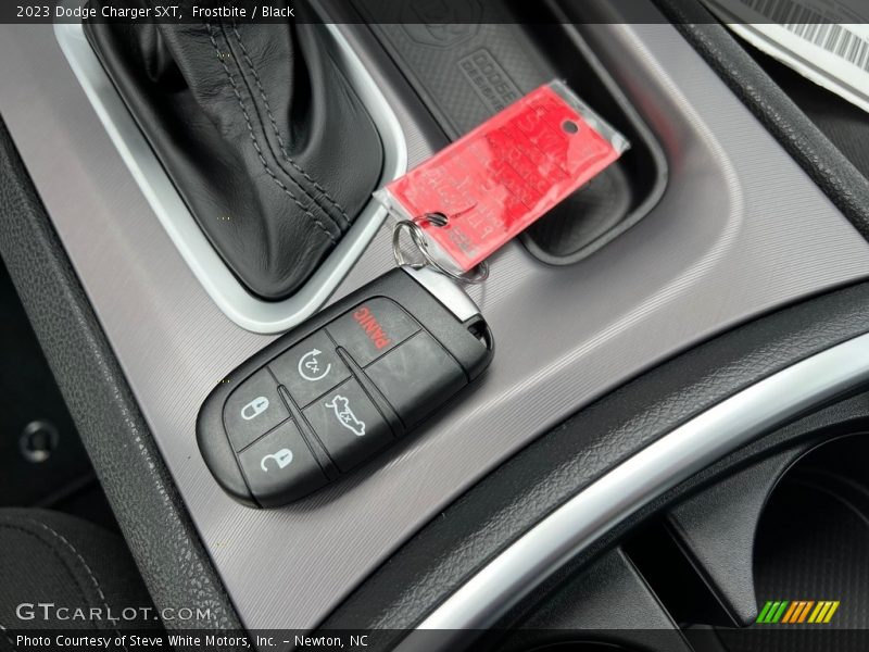 Frostbite / Black 2023 Dodge Charger SXT