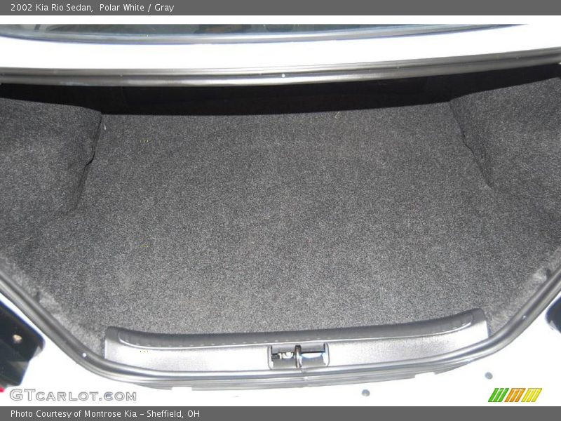 Polar White / Gray 2002 Kia Rio Sedan