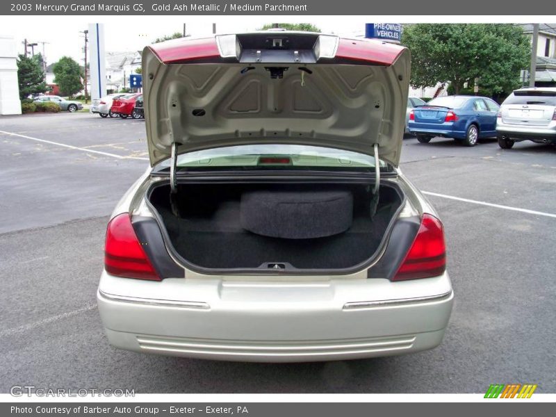 Gold Ash Metallic / Medium Parchment 2003 Mercury Grand Marquis GS
