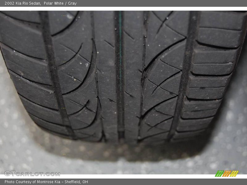 Polar White / Gray 2002 Kia Rio Sedan