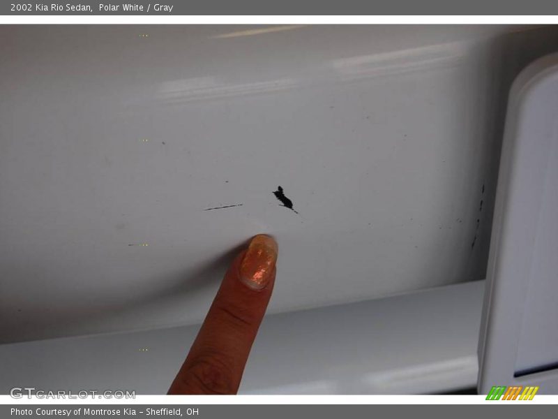 Polar White / Gray 2002 Kia Rio Sedan