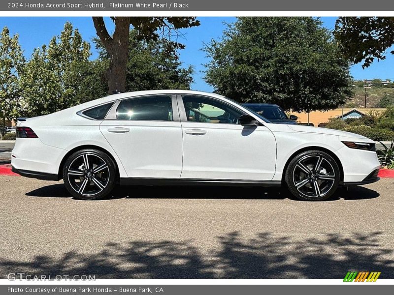  2024 Accord Sport Hybrid Platinum White Pearl