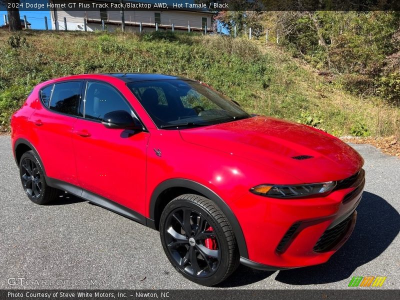 Front 3/4 View of 2024 Hornet GT Plus Track Pack/Blacktop AWD