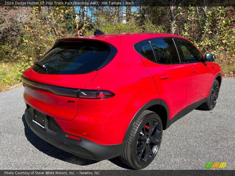 Hot Tamale / Black 2024 Dodge Hornet GT Plus Track Pack/Blacktop AWD