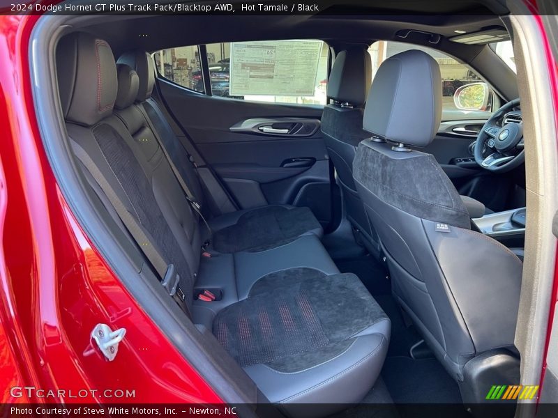 Rear Seat of 2024 Hornet GT Plus Track Pack/Blacktop AWD