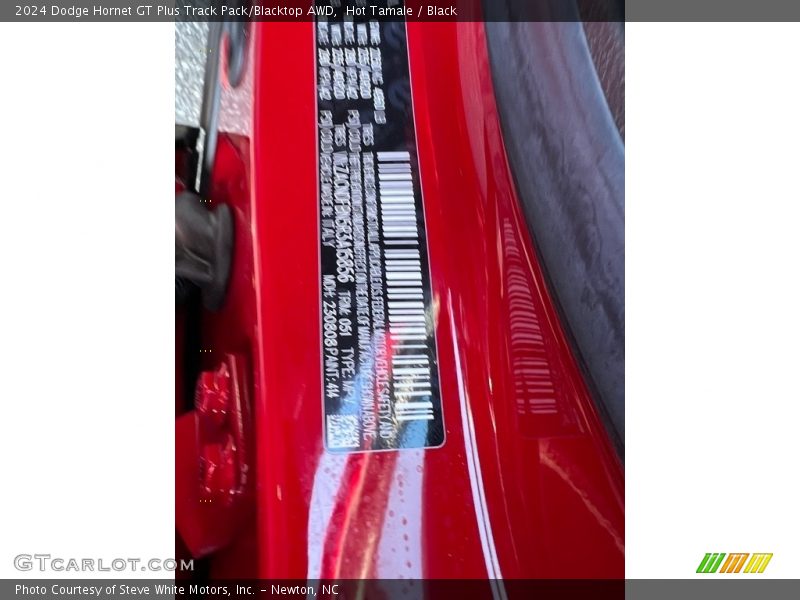 2024 Hornet GT Plus Track Pack/Blacktop AWD Hot Tamale Color Code 414