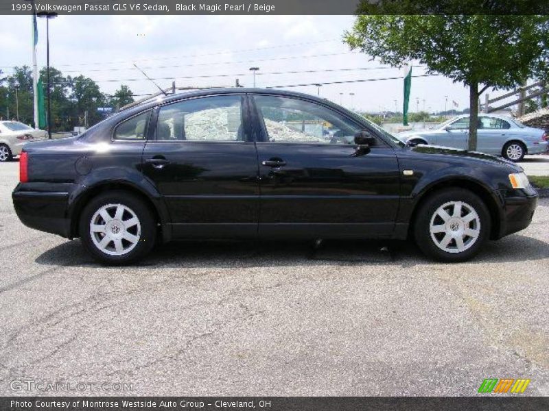 Black Magic Pearl / Beige 1999 Volkswagen Passat GLS V6 Sedan