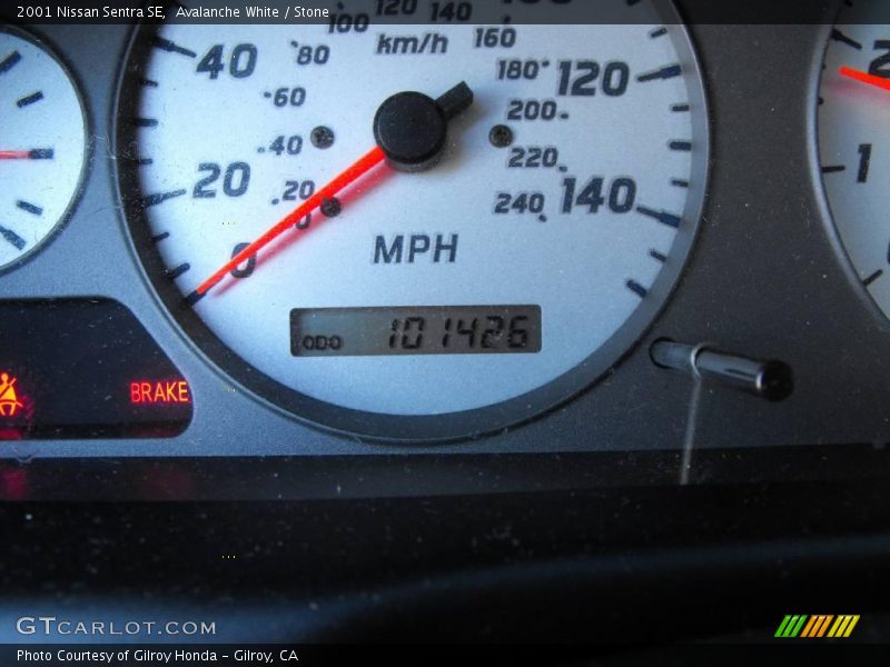 Avalanche White / Stone 2001 Nissan Sentra SE