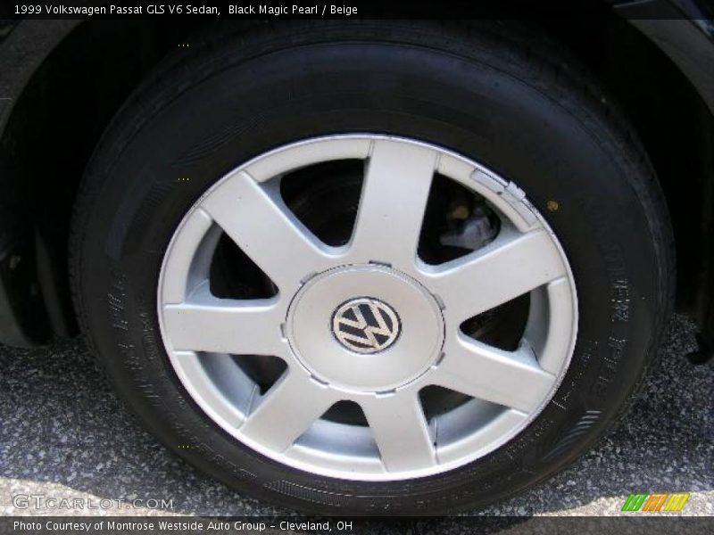 Black Magic Pearl / Beige 1999 Volkswagen Passat GLS V6 Sedan