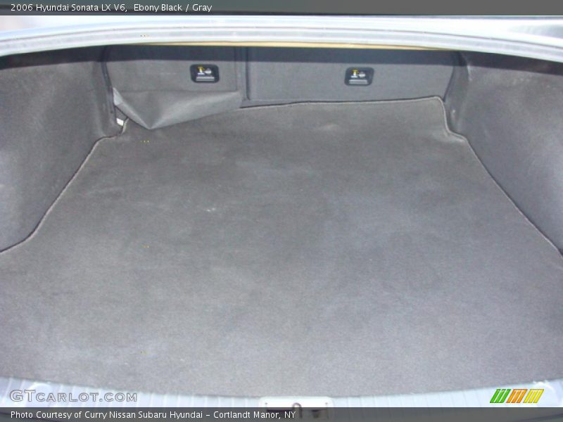 Ebony Black / Gray 2006 Hyundai Sonata LX V6