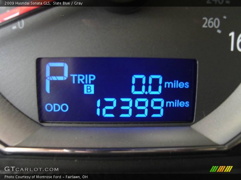 Slate Blue / Gray 2009 Hyundai Sonata GLS