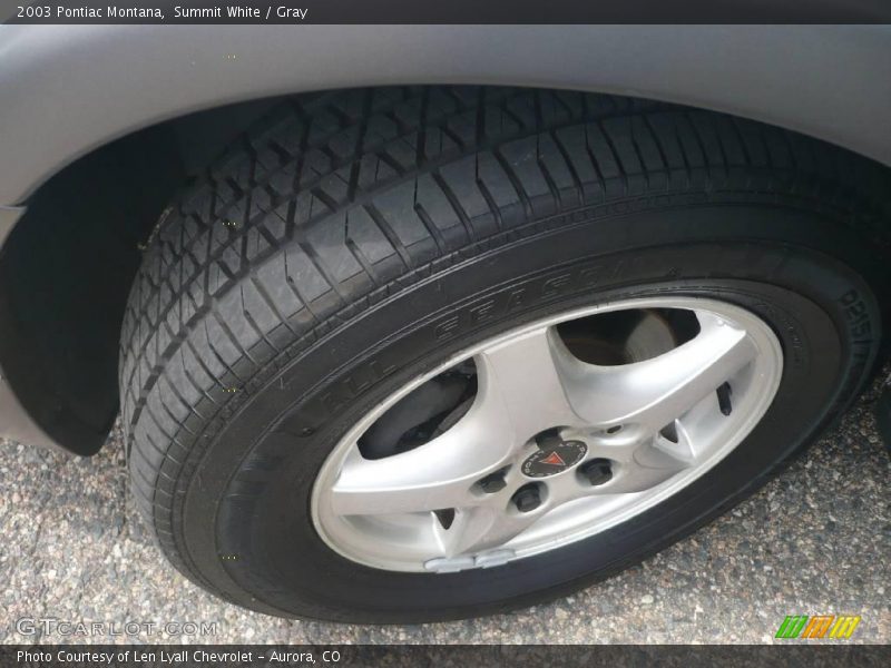 Summit White / Gray 2003 Pontiac Montana