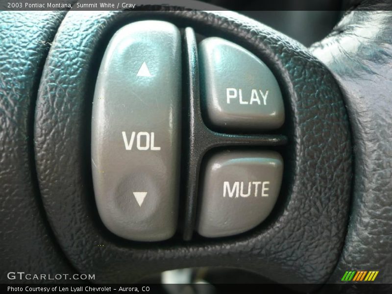 Summit White / Gray 2003 Pontiac Montana