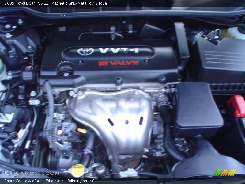 Magnetic Gray Metallic / Bisque 2009 Toyota Camry XLE