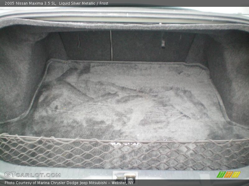 Liquid Silver Metallic / Frost 2005 Nissan Maxima 3.5 SL