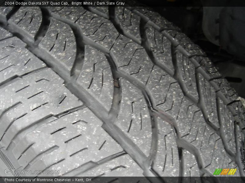 Bright White / Dark Slate Gray 2004 Dodge Dakota SXT Quad Cab