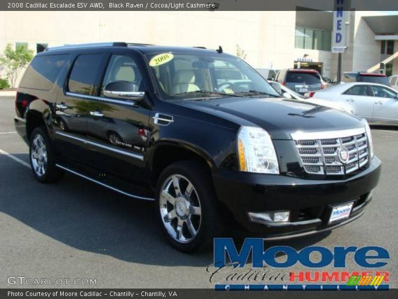Black Raven / Cocoa/Light Cashmere 2008 Cadillac Escalade ESV AWD