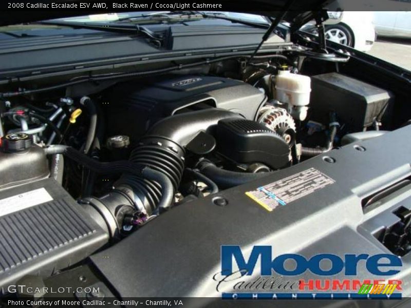Black Raven / Cocoa/Light Cashmere 2008 Cadillac Escalade ESV AWD