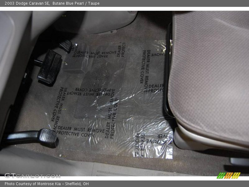 Butane Blue Pearl / Taupe 2003 Dodge Caravan SE