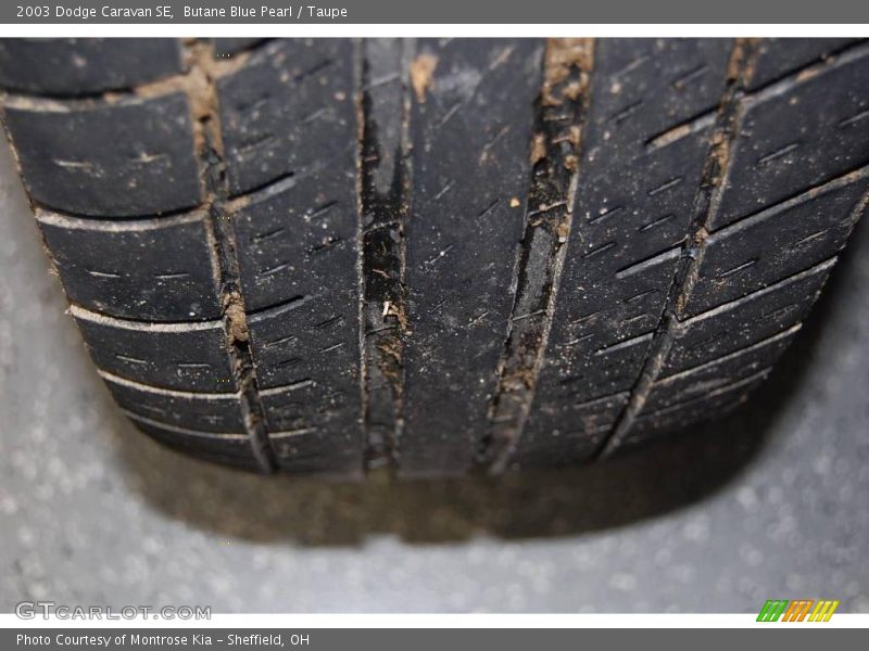 Butane Blue Pearl / Taupe 2003 Dodge Caravan SE