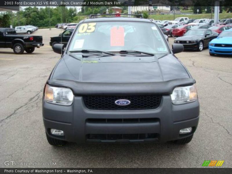 Black Clearcoat / Medium Dark Flint 2003 Ford Escape XLS V6 4WD