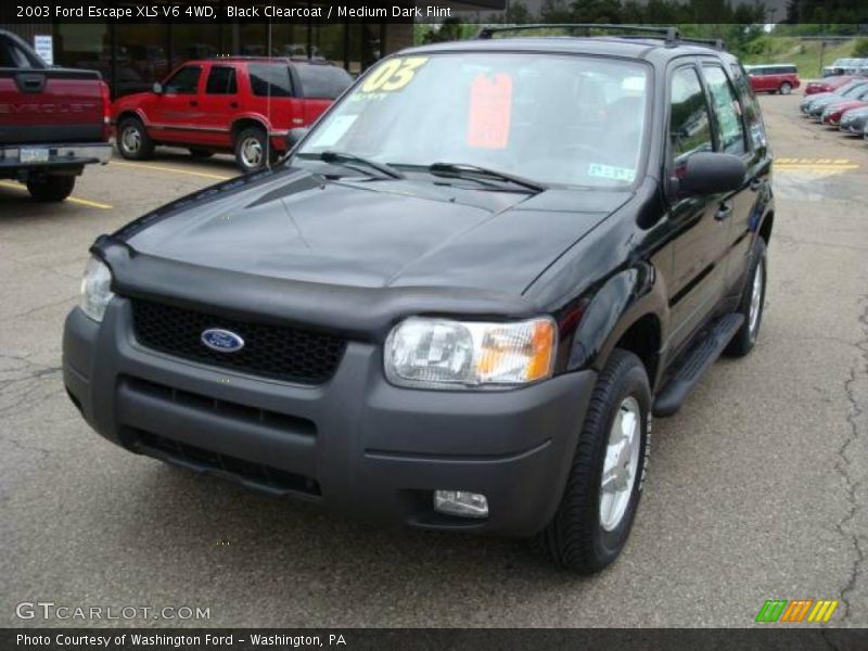 Black Clearcoat / Medium Dark Flint 2003 Ford Escape XLS V6 4WD