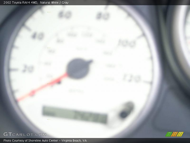 Natural White / Gray 2002 Toyota RAV4 4WD