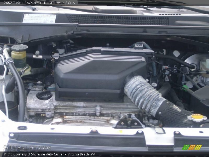 Natural White / Gray 2002 Toyota RAV4 4WD