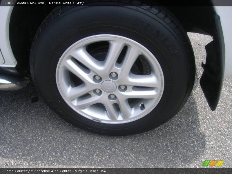 Natural White / Gray 2002 Toyota RAV4 4WD