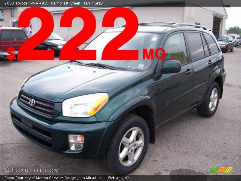 Rainforest Green Pearl / Gray 2003 Toyota RAV4 4WD