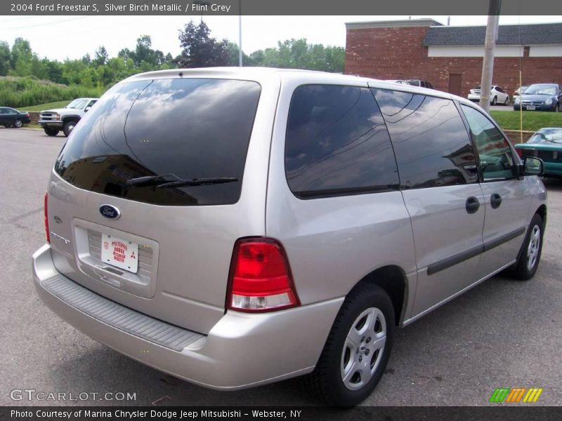 Silver Birch Metallic / Flint Grey 2004 Ford Freestar S