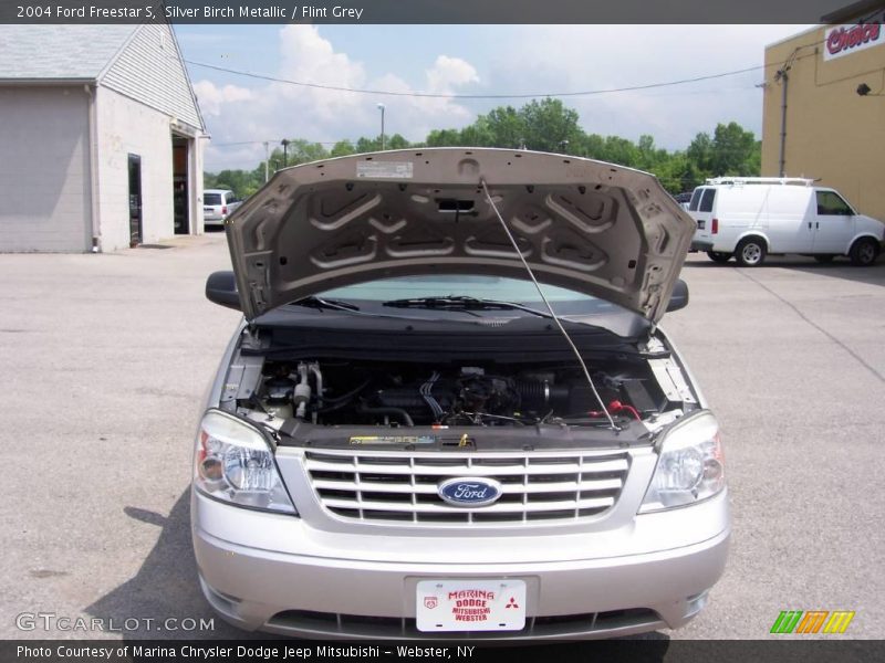 Silver Birch Metallic / Flint Grey 2004 Ford Freestar S