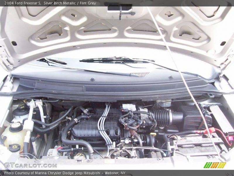 Silver Birch Metallic / Flint Grey 2004 Ford Freestar S