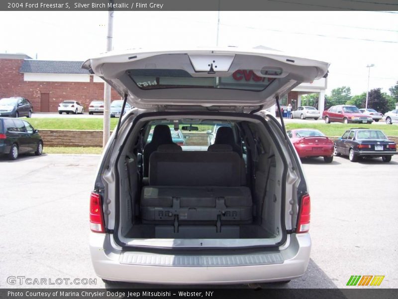 Silver Birch Metallic / Flint Grey 2004 Ford Freestar S
