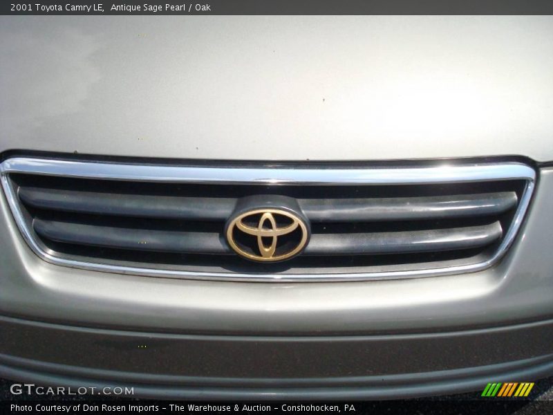 Antique Sage Pearl / Oak 2001 Toyota Camry LE