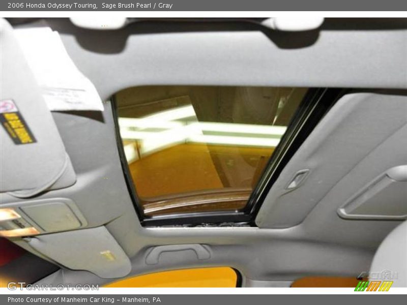 Sage Brush Pearl / Gray 2006 Honda Odyssey Touring