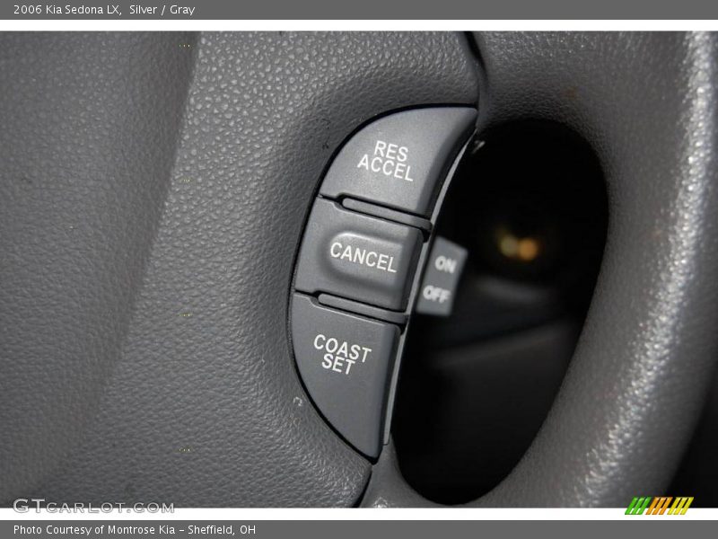 Silver / Gray 2006 Kia Sedona LX