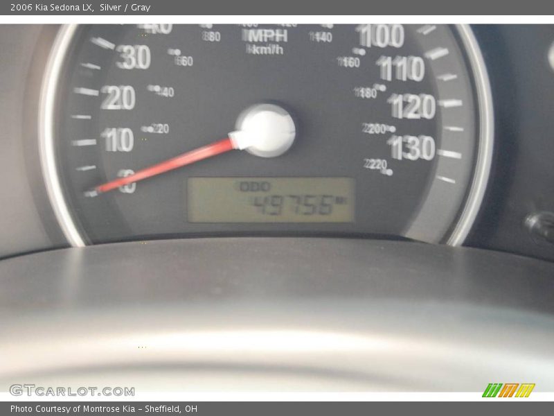 Silver / Gray 2006 Kia Sedona LX