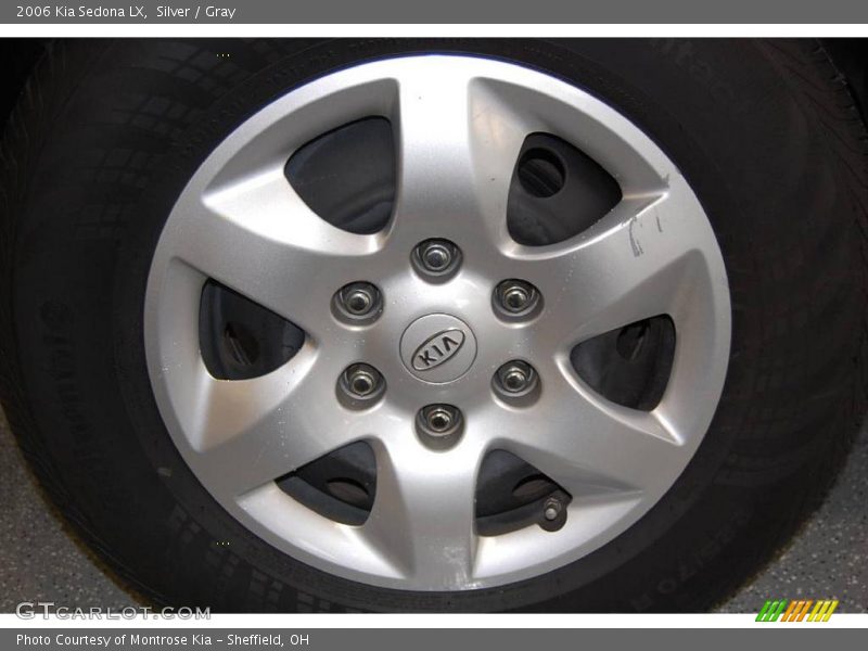 Silver / Gray 2006 Kia Sedona LX