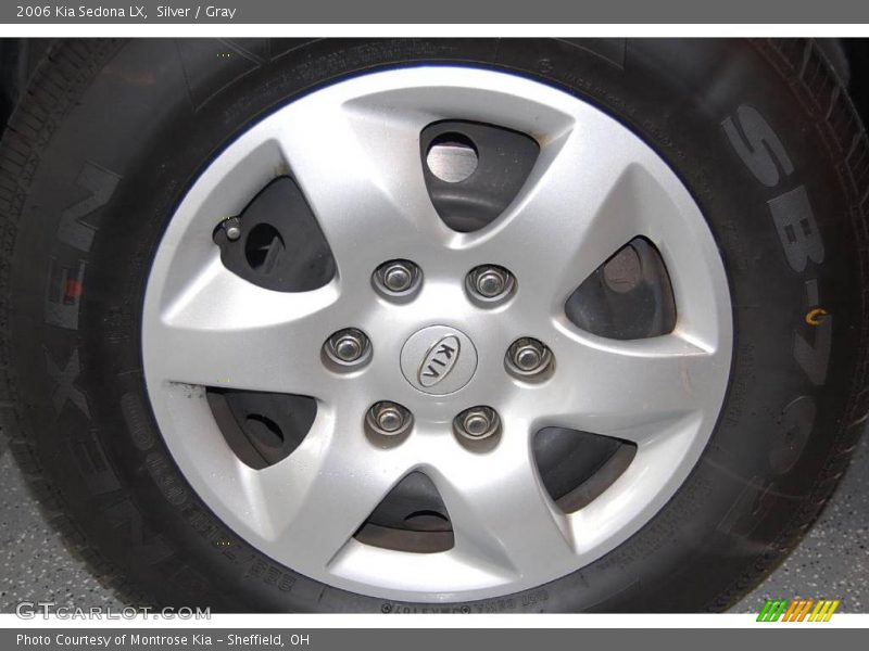 Silver / Gray 2006 Kia Sedona LX