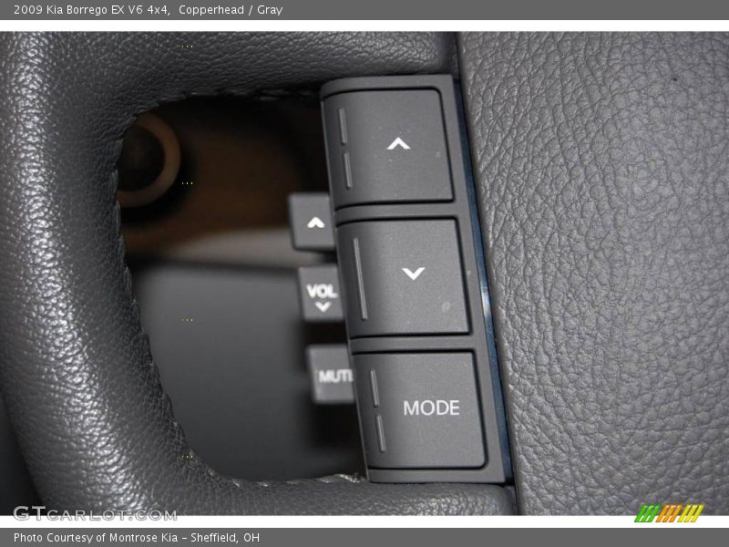 Copperhead / Gray 2009 Kia Borrego EX V6 4x4