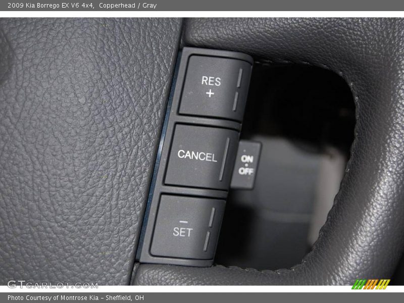 Copperhead / Gray 2009 Kia Borrego EX V6 4x4
