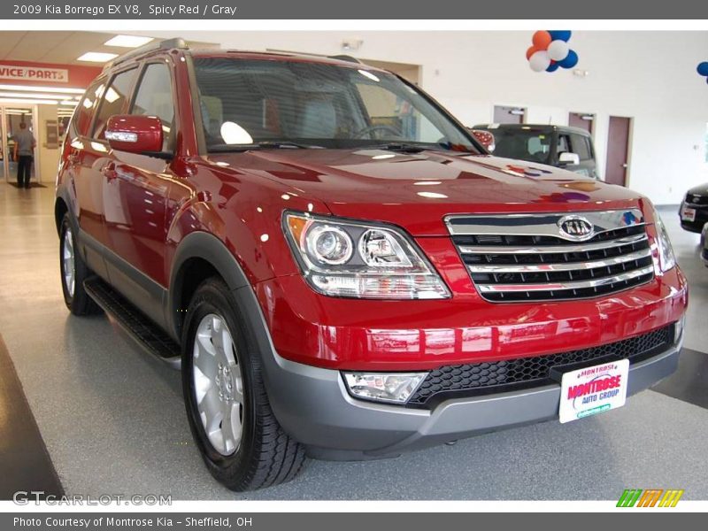 Spicy Red / Gray 2009 Kia Borrego EX V8