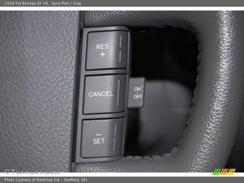 Spicy Red / Gray 2009 Kia Borrego EX V8