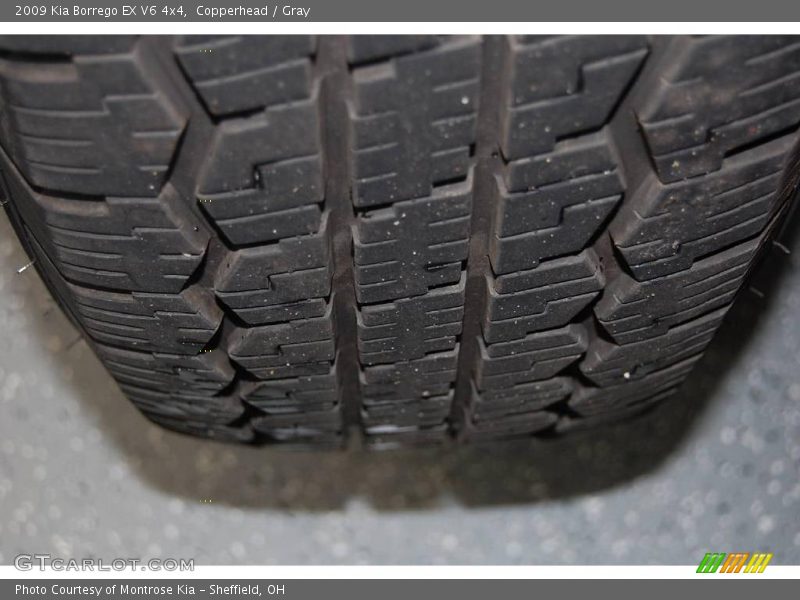 Copperhead / Gray 2009 Kia Borrego EX V6 4x4