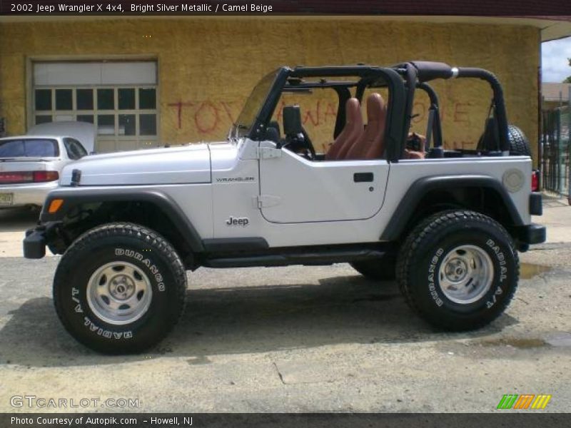 Bright Silver Metallic / Camel Beige 2002 Jeep Wrangler X 4x4