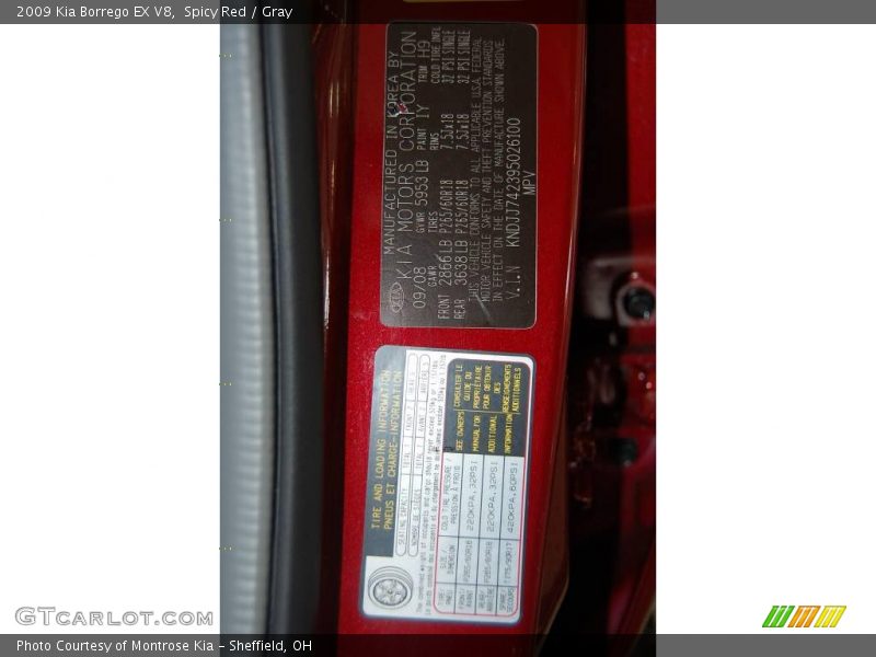 Spicy Red / Gray 2009 Kia Borrego EX V8